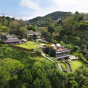 Ekho Ella